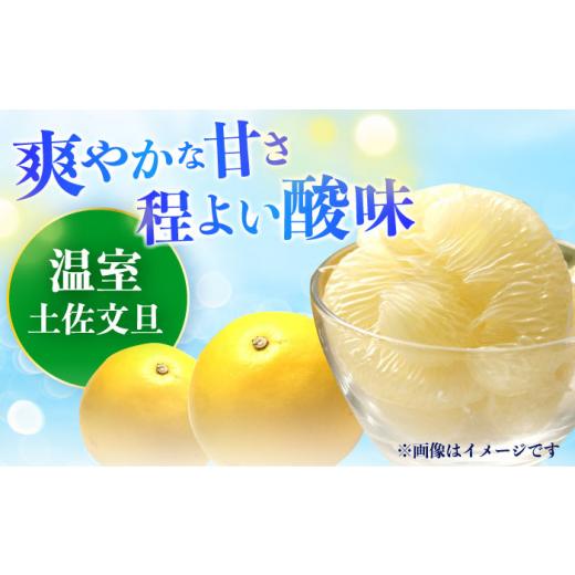 ふるさと納税 みかん・柑橘類 高知県 高知市  先行予約 南国高知温室土佐文旦 約5kg 8玉〈2026年11月中旬〜2027年2月中旬頃発送〉／ 文旦 ぶんたん 5kg 5キロ …_4