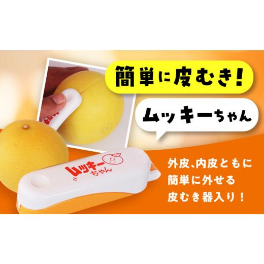 ふるさと納税 みかん・柑橘類 高知県 高知市  先行予約 南国高知温室土佐文旦 約5kg 8玉〈2026年11月中旬〜2027年2月中旬頃発送〉／ 文旦 ぶんたん 5kg 5キロ …_5