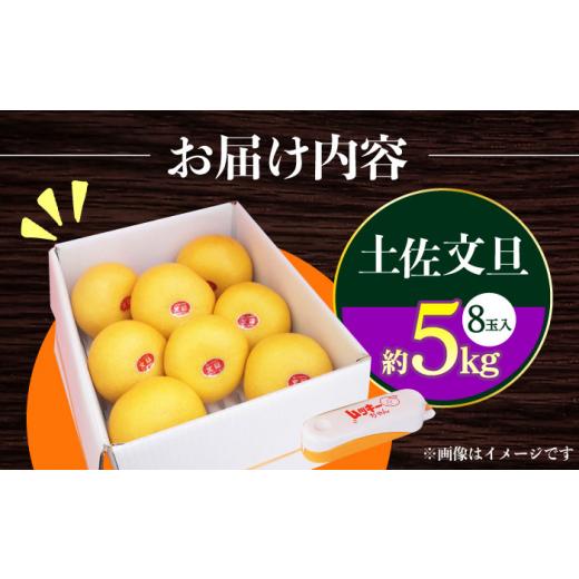ふるさと納税 みかん・柑橘類 高知県 高知市  先行予約 南国高知温室土佐文旦 約5kg 8玉〈2026年11月中旬〜2027年2月中旬頃発送〉／ 文旦 ぶんたん 5kg 5キロ …_6