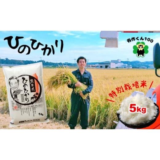 ふるさと納税 熊本県 玉名市 熊本玉名産 特別栽培米 ひのひかり 5kg