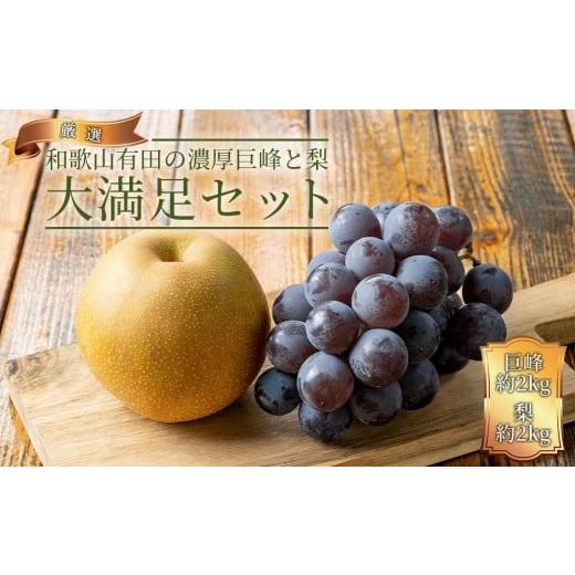 ふるさと納税 果物類 ぶどう 和歌山県 有田川町 農家直送 和歌山有田の朝採り 巨峰 と 梨 大満足セット[2026年・先行予約]