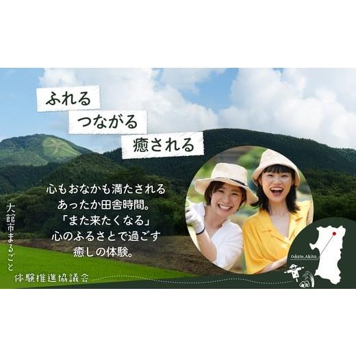 ふるさと納税 入場券・優待券 秋田県 大館市 農家民宿をもっと満喫 プラチナプラン 350P8405 ／ ふるさと納税 東北 秋田 大館 秋田県 大館市 あきた おおだて …の画像