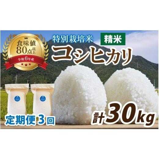 ふるさと納税 米 コシヒカリ 福井県 南越前町 3ヶ月連続お届け 令和7年産 南条米 新米 特別栽培米コシヒカリ 精米 真空パック 10kg(5kg×2袋)×3ヶ月 (計30kg…