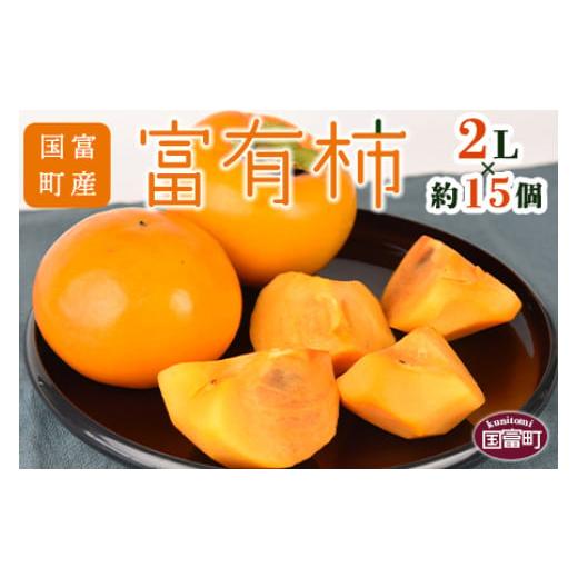 ふるさと納税 果物類 柿 宮崎県 国富町 数量限定 予約受付 国富町産 富有柿 2L×約15個 2025年11月中旬から12月中旬頃に順次出荷
