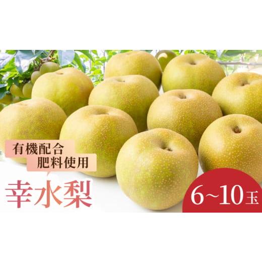 ふるさと納税 梨 福岡県 うきは市 先行予約 有機配合肥料使用 幸水梨 6〜10玉 2026年7月下旬〜8月上旬より順次発送予定 春光園 梨 なし 果物 フルーツ 幸水 …