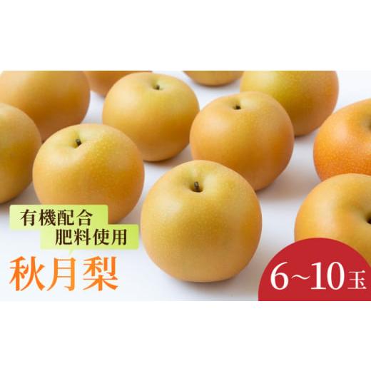 ふるさと納税 梨 福岡県 うきは市 先行予約 有機配合肥料使用 秋月梨 6〜10玉 2026年8月下旬〜9月上旬より順次発送予定 春光園 梨 なし 果物 フルーツ 秋月 …