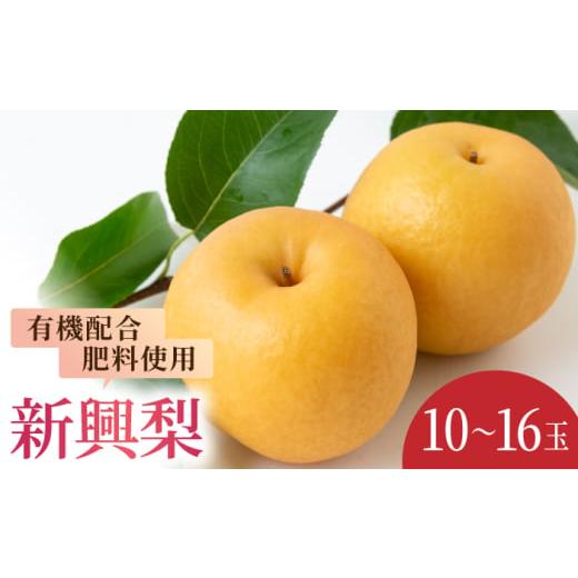 ふるさと納税 梨 福岡県 うきは市 先行予約 有機配合肥料使用 新興梨 10玉から16玉 2026年10月上旬から10月中旬 出荷予定 春光園 梨 なし 果物 フルーツ