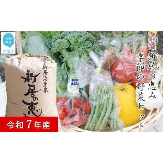 ふるさと納税 米 ヒノヒカリ 愛媛県 新居浜市 白米 新米 えひめ未来農業協同組合 ブランド米 「新居の恵み (ヒノヒカリ) 令和7年産」 5kg と 季節の野菜 約2kg…