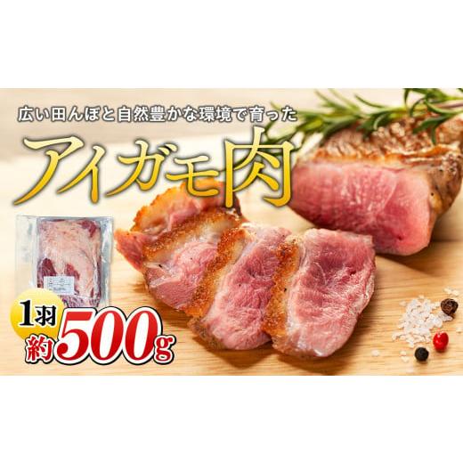 ふるさと納税 千葉県 長生村 A01-003 アイガモ肉(生肉)1羽分
