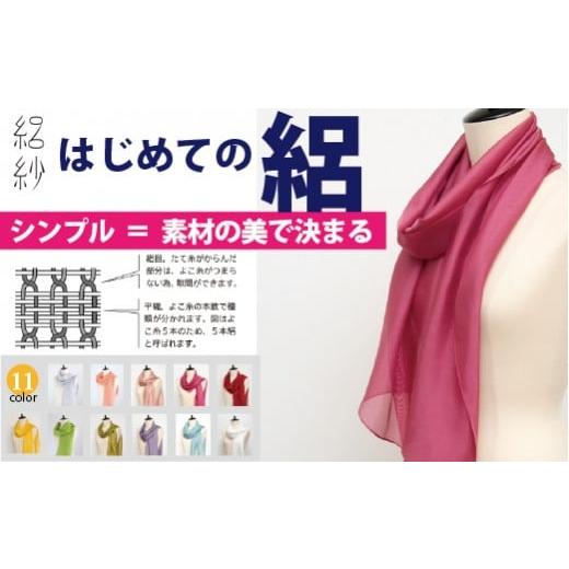 ふるさと納税 小物 ストール・マフラー 新潟県 五泉市 ストール 絽紗 きらめく色 はじめての絽 グリーン シルク100% レディース | おしゃれ シンプル 無地 マ…
