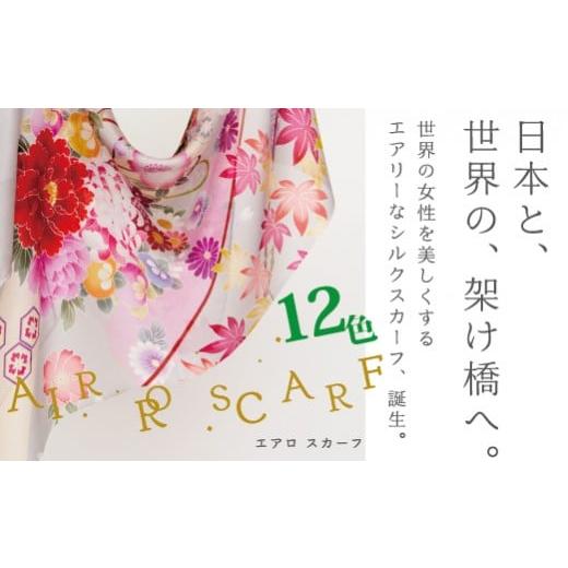 ふるさと納税 小物 ストール・マフラー 新潟県 五泉市 ストール 絽紗 エアロスカーフ ( のし ブラック ) シルク100% レディース | おしゃれ シンプル マフラー…