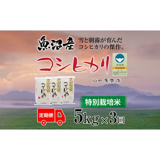 ふるさと納税 米 コシヒカリ 新潟県 十日町市 定期便 全3回 特別栽培米 魚沼産コシヒカリ 5kg