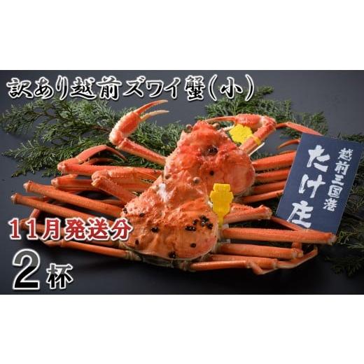 ふるさと納税 カニ ずわいガニ 福井県 坂井市 電話連絡で安心 訳あり 茹で 越前ズワイ蟹(小) 2杯 2025年11月発送分 D-1601_11 2025年11月発送分