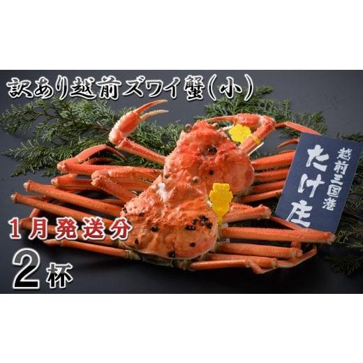 ふるさと納税 カニ ずわいガニ 福井県 坂井市 電話連絡で安心 訳あり 茹で 越前ズワイ蟹(小) 2杯 2026年1月発送分 D-1601_01 2026年1月発送分