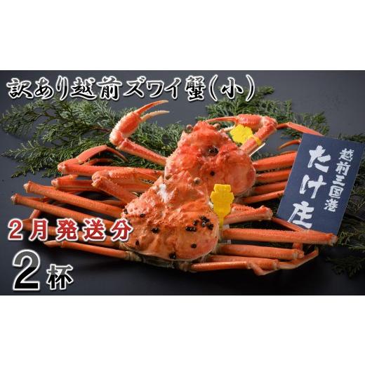ふるさと納税 カニ ずわいガニ 福井県 坂井市 電話連絡で安心 訳あり 茹で 越前ズワイ蟹(小) 2杯 2026年2月発送分 D-1601_02 2026年2月発送分