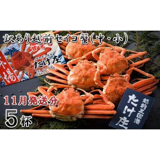 ふるさと納税 カニ ずわいガニ 福井県 坂井市 電話連絡で安心 訳あり 茹で 越前セイコ蟹(中・小) 5杯 2025年11月発送分 F-1601_11 11月発送分
