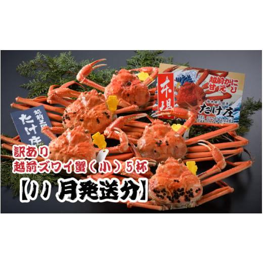 ふるさと納税 カニ ずわいガニ 福井県 坂井市 電話連絡で安心 訳あり 茹で 越前ズワイ蟹(小) 5杯 2025年11月発送分 J-1605_11 2025年11月発送分