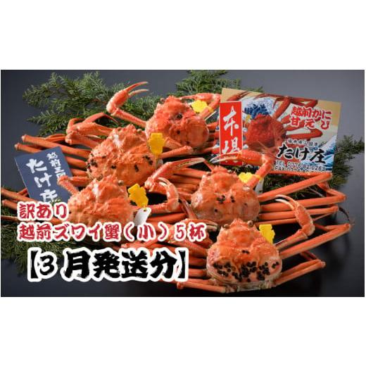ふるさと納税 カニ ずわいガニ 福井県 坂井市 電話連絡で安心 訳あり 茹で 越前ズワイ蟹(小) 5杯 2026年3月発送分 J-1605_03 2026年3月発送分