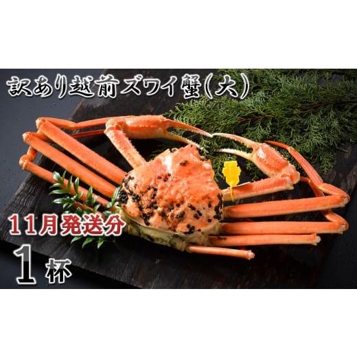 ふるさと納税 カニ ずわいガニ 福井県 坂井市 電話連絡で安心 訳あり 茹で 越前ズワイ蟹(大) 1杯 2025年11月発送分 I-1601_11 2025年11月発送分