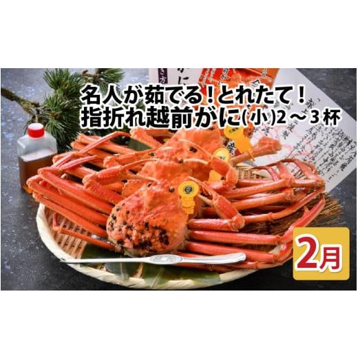 ふるさと納税 カニ ずわいガニ 福井県 坂井市 先行予約 名人が茹でる とれたて指折れ越前がに(小) 2〜3杯 2月発送分 C-4352_02 2月発送分
