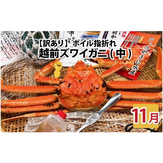 ふるさと納税 カニ ずわいガニ 福井県 坂井市 先行予約 名人が茹でる とれたて指折れ訳あり越前がに(中) 1杯 やまに仕込み 11月発送分 E-4353_11 11月発送分