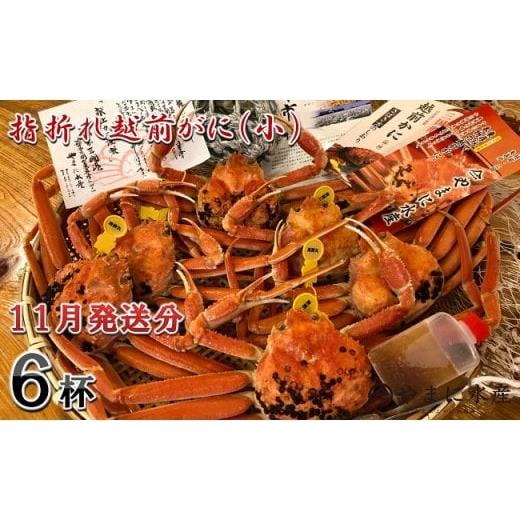 ふるさと納税 カニ ずわいガニ 福井県 坂井市 先行予約 名人が茹でる 指折れ訳あり越前がに(小) 6杯 やまに仕込み 11月発送分 F-4352_11 11月発送分