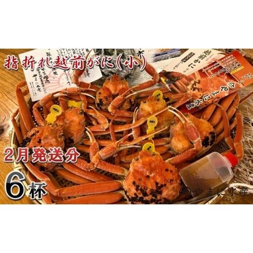 ふるさと納税 カニ ずわいガニ 福井県 坂井市 先行予約 名人が茹でる 指折れ訳あり越前がに(小) 6杯 やまに仕込み 2月発送分 F-4352_02 2月発送分