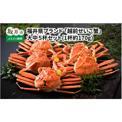 ふるさと納税 カニ ずわいガニ 福井県 坂井市 先行予約 福井県ブランド 茹で 「越前セイコ蟹」 大中5杯セット 2025年11月発送分 I-1402_11 11月発送分