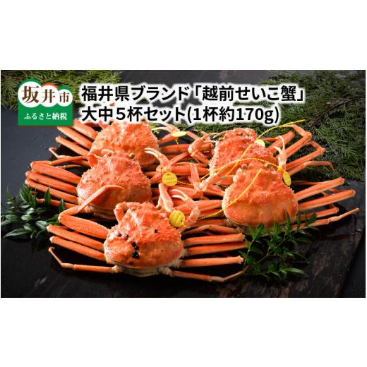 ふるさと納税 カニ ずわいガニ 福井県 坂井市 先行予約 福井県ブランド 茹で 「越前セイコ蟹」 大中5杯セット 2026年12月発送分 I-1402_12 12月発送分