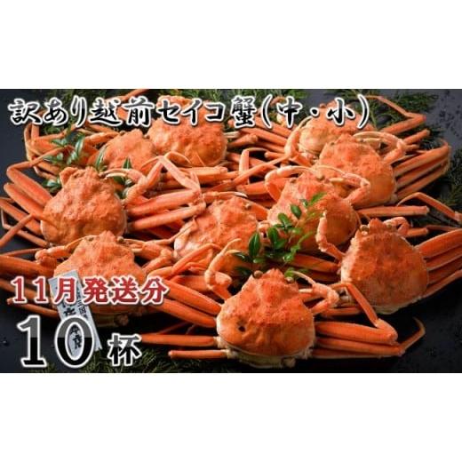ふるさと納税 カニ ずわいガニ 福井県 坂井市 電話連絡で安心 訳あり 茹で 越前セイコ蟹(中・小) 10杯 2025年11月発送分 K-1601_11 11月発送分