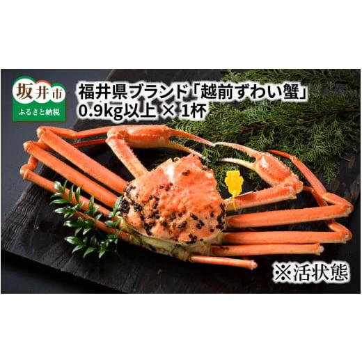 ふるさと納税 カニ ずわいガニ 福井県 坂井市 先行予約 福井県ブランド 茹で 「越前ズワイ蟹」 0.9kg以上 2026年3月発送分 K-1401_03 3月発送分