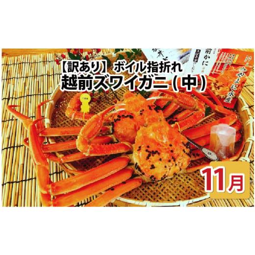 ふるさと納税 カニ ずわいガニ 福井県 坂井市 先行予約 名人が茹でる とれたて指折れ越前がに(中) 2杯 11月発送分 J-4304_11 11月発送分