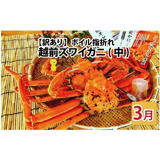 ふるさと納税 カニ ずわいガニ 福井県 坂井市 先行予約 名人が茹でる とれたて指折れ越前がに(中) 2杯 3月発送分 J-4304_03 3月発送分