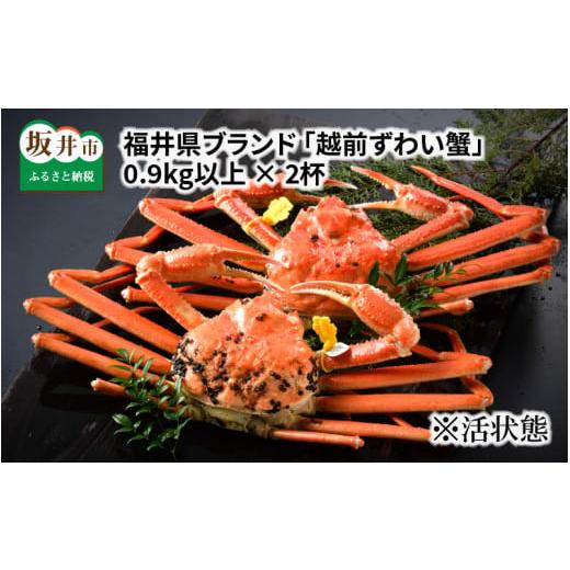 ふるさと納税 カニ ずわいガニ 福井県 坂井市 先行予約 福井県ブランド 茹で 「越前ズワイ蟹」 0.9kg以上 2杯 2025年11月発送分 O-1404_11 11月発送分