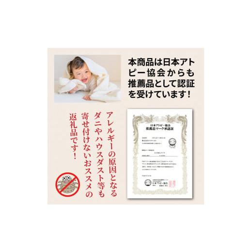 ふるさと納税 タオル・寝具 大分県 国東市 クロッツエア ベビーソフトマットレス 2つ折り_1340Rの画像