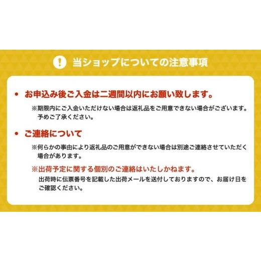 ふるさと納税 お茶類 緑茶（茶葉・ティーバッグ） 熊本県 宇城市 緑茶 宇城市のふるさとお茶 セット B 日本茶 茶葉の画像