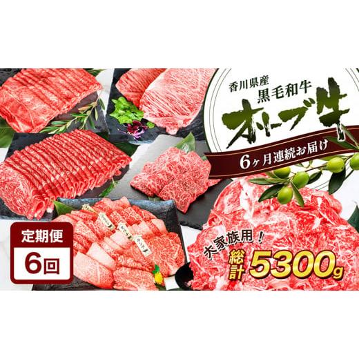 ふるさと納税 牛肉 セット 香川県 東かがわ市   香川県産黒毛和牛オリーブ牛 6ヶ月お届け 大家族用 お肉 牛肉 焼肉 バーベキュー