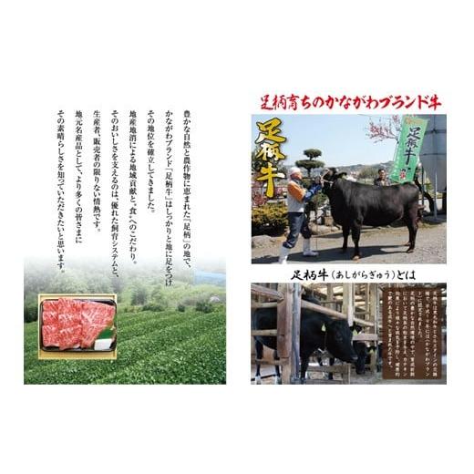 ふるさと納税 牛肉 すき焼き 神奈川県 松田町 足柄牛 焼肉・しゃぶしゃぶ用 切り落とし500ｇ 焼肉 しゃぶしゃぶ BBQ きめ細かい肉質 風味豊か しっとり 上質 … |  | 05