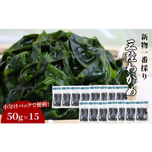 ふるさと納税 のり・海藻 わかめ 岩手県 釜石市 fc-39-011 一番採り三陸わかめ (塩蔵) 小分けセット(50g×15) ヤマキイチ商店