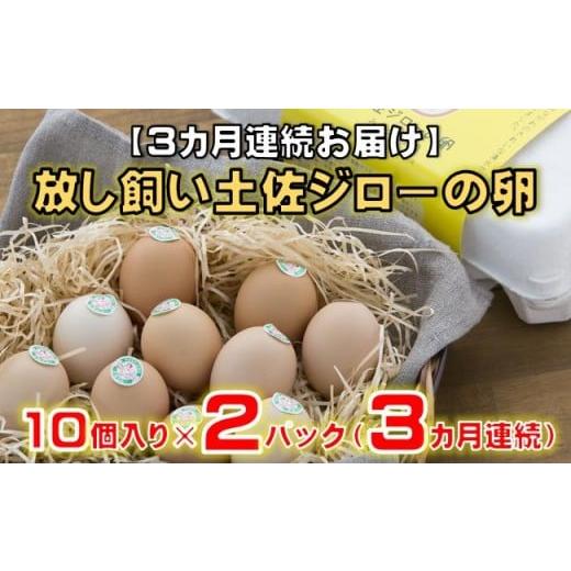 ふるさと納税 卵(鶏、烏骨鶏等) 高知県 黒潮町 3カ月連続お届け 放し飼い 土佐ジロー 卵 20個 入り 3ヶ月 定期便 3回 土佐 地鶏 たまご地鶏卵 天然卵 特産…