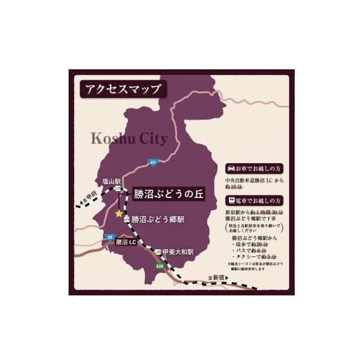 ふるさと納税 お食事券 山梨県 甲州市 勝沼ぶどうの丘レストラン ペアランチ券（KBO）C-1301_7