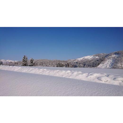 【最安値挑戦中】 ふるさと納税 新潟県 南魚沼市 【頒布会】南魚沼産コシヒカリ「雪国のかおり」１０kg毎月頒布（１年間　全１２回） 【HOV4997190580】(176000円)