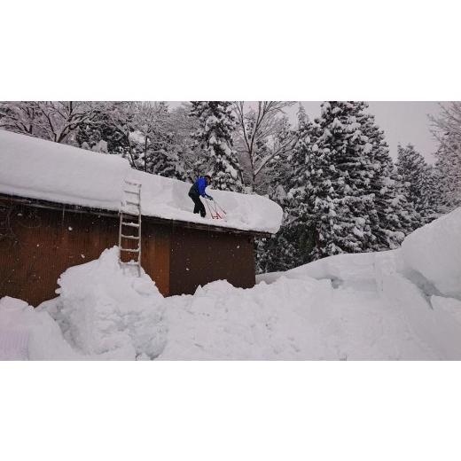 【最安値挑戦中】 ふるさと納税 新潟県 南魚沼市 【頒布会】南魚沼産コシヒカリ「雪国のかおり」１０kg毎月頒布（１年間　全１２回） 【HOV4997190580】(176000円)