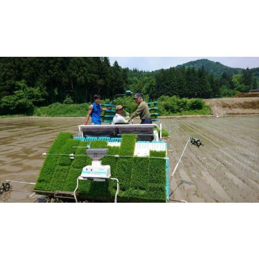 【最安値挑戦中】 ふるさと納税 新潟県 南魚沼市 【頒布会】南魚沼産コシヒカリ「雪国のかおり」１０kg毎月頒布（１年間　全１２回） 【HOV4997190580】(176000円)