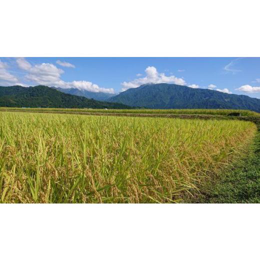 【最安値挑戦中】 ふるさと納税 新潟県 南魚沼市 【頒布会】南魚沼産コシヒカリ「雪国のかおり」１０kg毎月頒布（１年間　全１２回） 【HOV4997190580】(176000円)