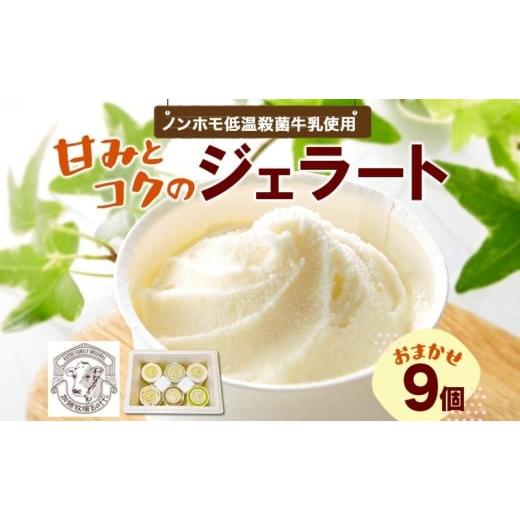 ふるさと納税 アイス・ヨーグルト ジェラート 埼玉県 日高市   加藤牧場 ジェラート9個セット