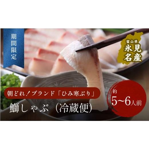 ふるさと納税 旬の鮮魚等 富山県 氷見市 先行予約 生ひみ寒ぶり しゃぶしゃぶ用 5-6人前 配送地域限定 [期間・数量限定]