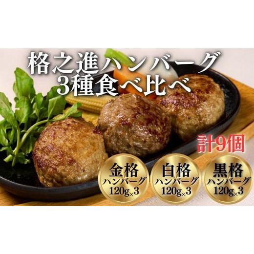 ふるさと納税 岩手県 一関市 [格之進]ハンバーグ3種の食べ比べセット「金格・白格・黒格」(120g×各3個) [ プレミアム お弁当 個包装 お惣菜 小分け 子供 …