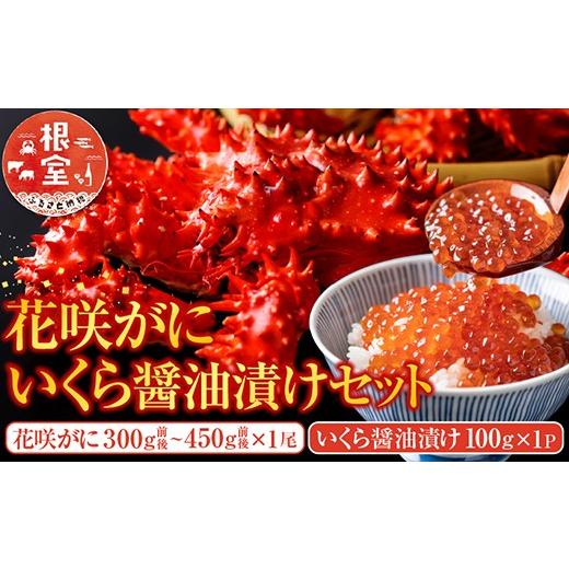 ふるさと納税 いくら 北海道 根室市 A-70027 花咲かに300g前後〜450g前後×1尾・いくら醤油漬け100g×1Pセットの画像