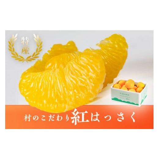 ふるさと納税 みかん・柑橘類 徳島県 佐那河内村 村のこだわり 紅はっさく 約7kg 1月中旬頃から発送